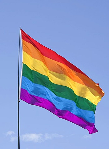 Rainbow flag, international gay and lesbian symbol