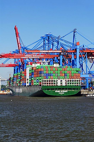 Container ship at Container Terminal Burchardkai in Waltershof port, Waltershof, Hamburg, Germany, Europe