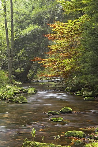 Stream in Eyachtal Valley, Baden-Wuerttemberg, Germany, Europe