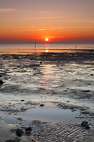 Sunrise at the Wadden Sea at low limit, Texel Island, Holland, Netherlands, Europe