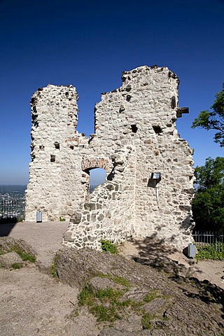 Burg Drachenfels castle ruins, Koenigswinter, Rhineland, North Rhine-Westphalia, Germany, Europe