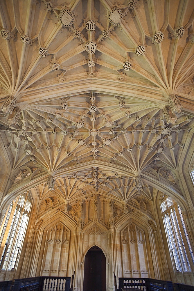 The Divinity School, Bodleian Library, Oxford, Oxfordshire, England, United Kingdom, Europe