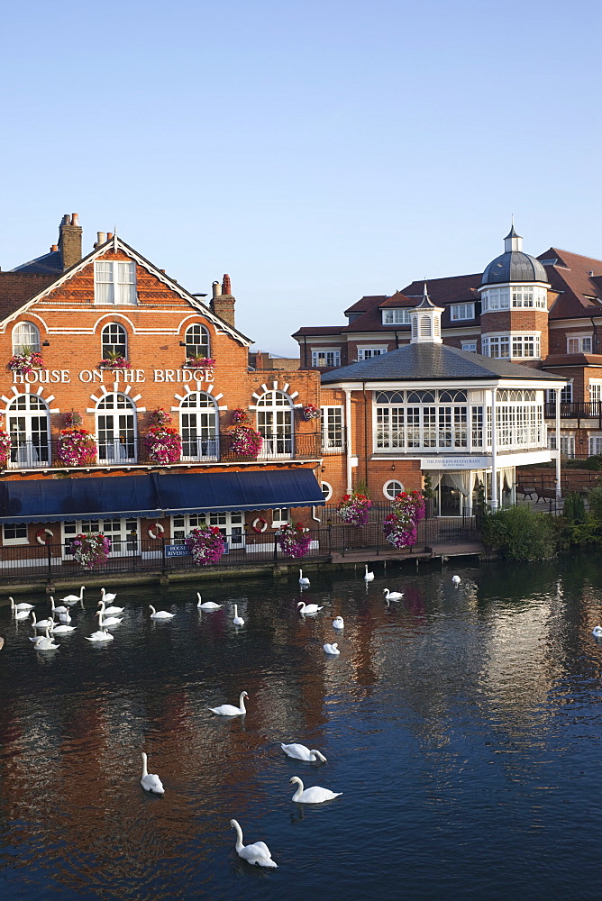 River Thames and riverfront, Eton, Berkshire, England, United Kingdom, Europe