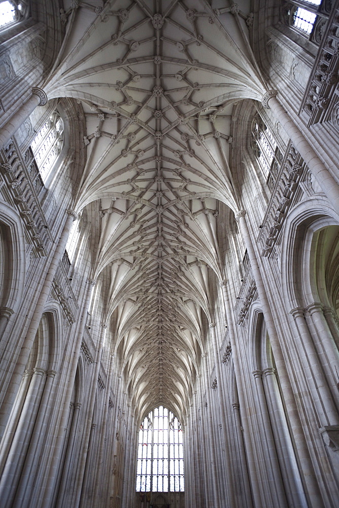 The Nave, Winchester Cathedral, Winchester, Hampshire, England, United Kingdom, Europe