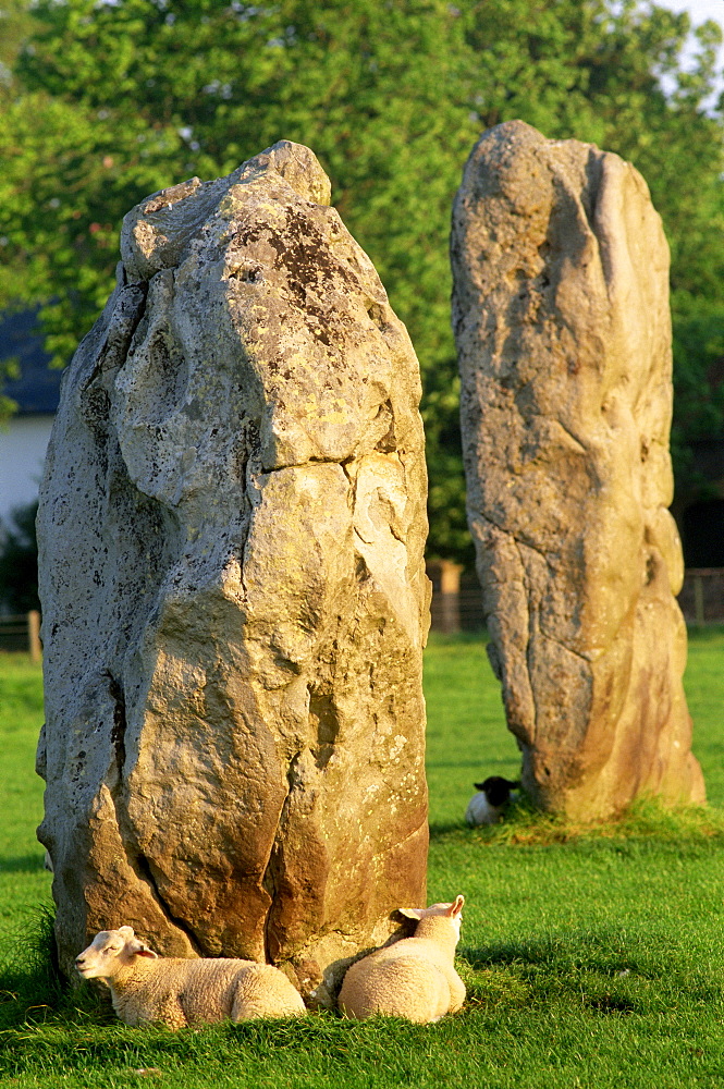 Avebury Stone Circle, UNESCO World Heritage Site, Avebury, Wiltshire, England, United Kingdom, Europe