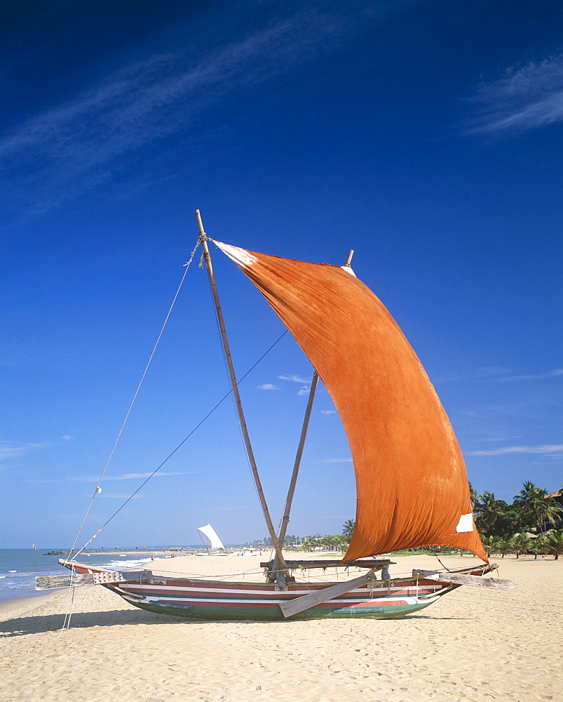 Traditional outrigger fishing boats, Negombo Beach, Negombo, Sri Lanka, Asia