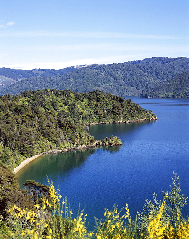 Queen Charlotte Sound, Marlborough Sounds, Marlborough, South Island, New Zealand, Pacific