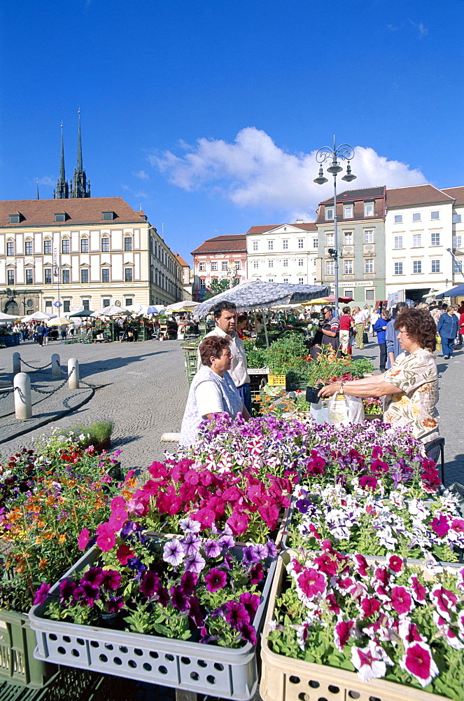 The Garden Market (Zelny trh), Brno, South Moravia, Czech Republic, Europe