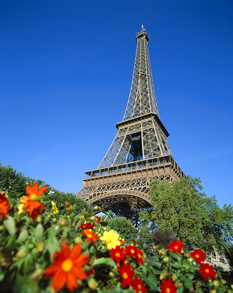 Eiffel Tower (Tour Eiffel) with bright flowers, Paris, France, Europe