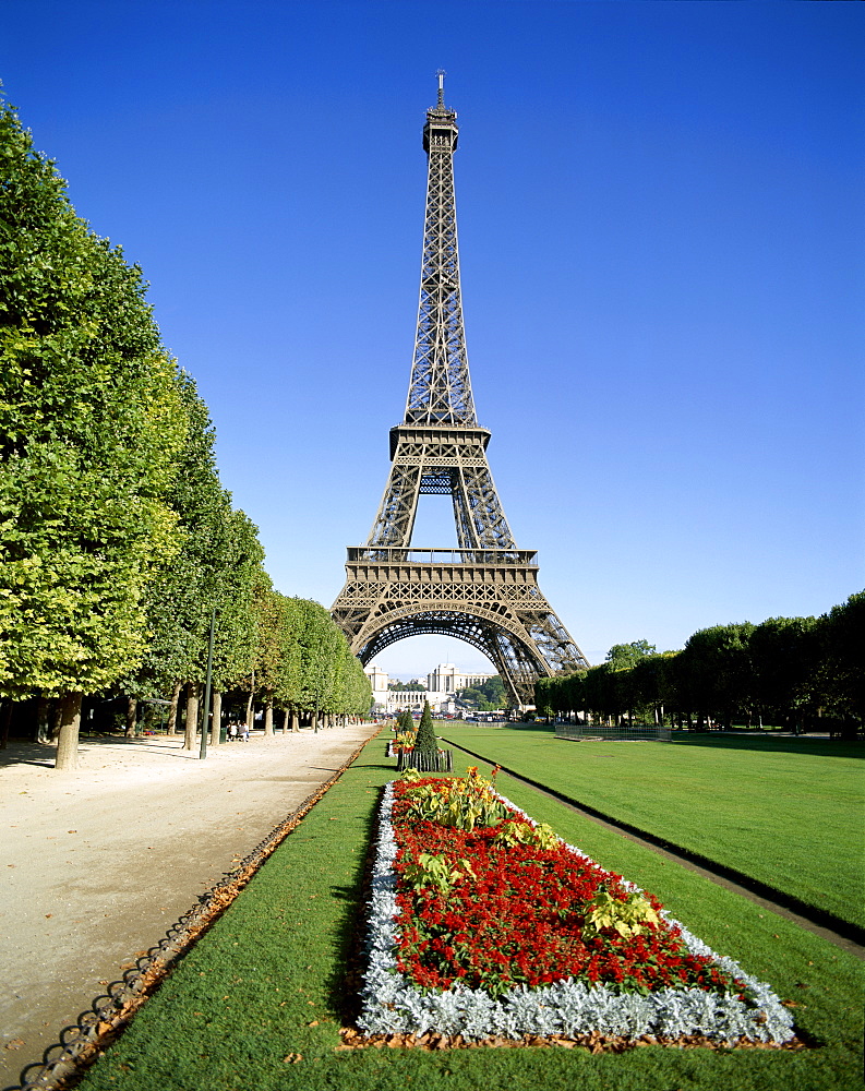 Eiffel Tower (Tour Eiffel) with bright flowers, Paris, France, Europe