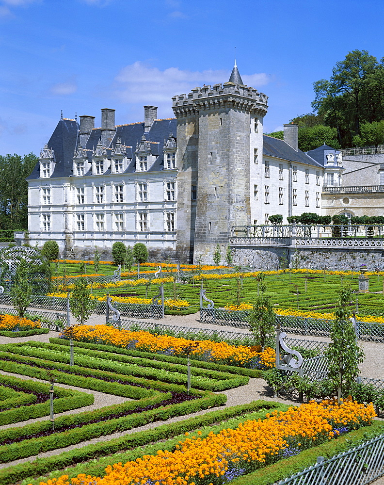 Villandry Castle (Chateau de Villandry) and Renaissance Garden, UNESCO World Heritage Site, Villandry, Indre et Loire, Loire Valley, France, Europe