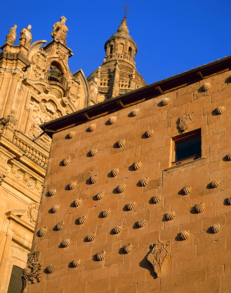 House of Shells (Casa de las Conchas), UNESCO World Heritage Site, Salamanca, Castilla y Leon, Spain, Europe