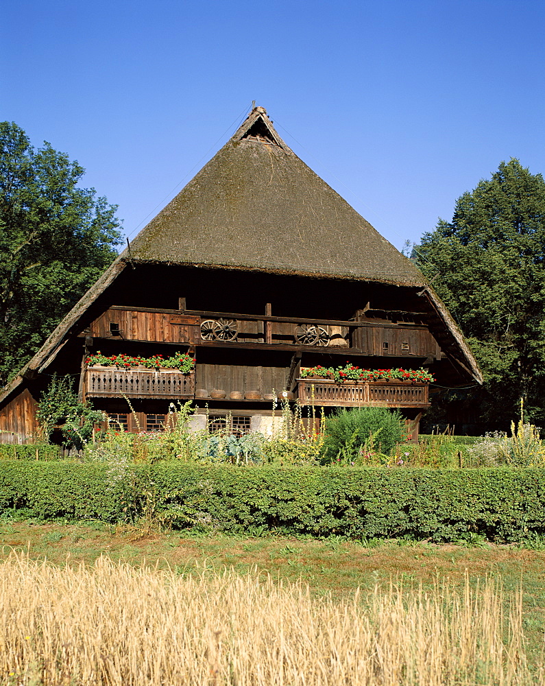 Open Air Museum, Vogtsbauernhof, Gutach, Black Forest (Schwarzwald), Baden-Wurttemberg, Germany, Europe