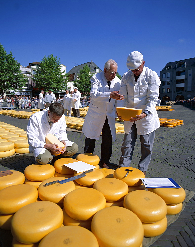 Cheese buyers, Cheese Market, Alkmaar, Holland (Netherlands), Europe