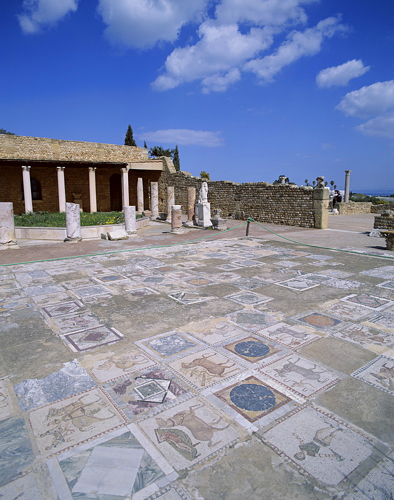 Mosaic floor, The Roman Villa, Carthage, UNESCO World Heritage Site, Tunis, Tunisia, North Africa, Africa