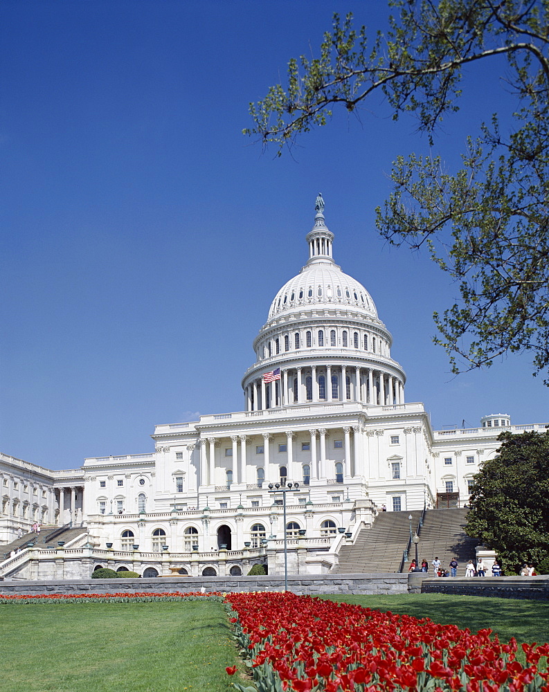 US Capitol Building, Capitol Hill, Washington, DC, United States of America, North America