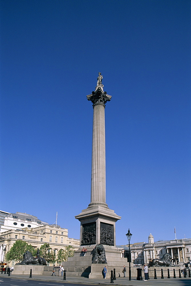 Nelsons Column, Trafalgar Square, London, England, United Kingdom, Europe