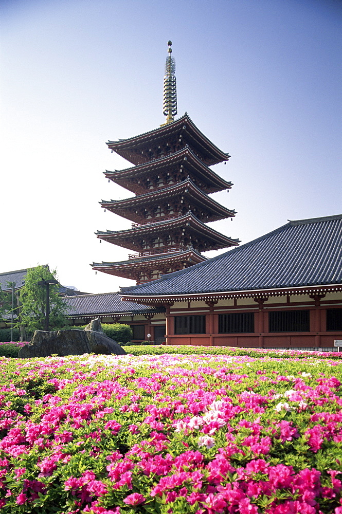 Asakusa Kannon Temple, Tokyo, Japan, Asia