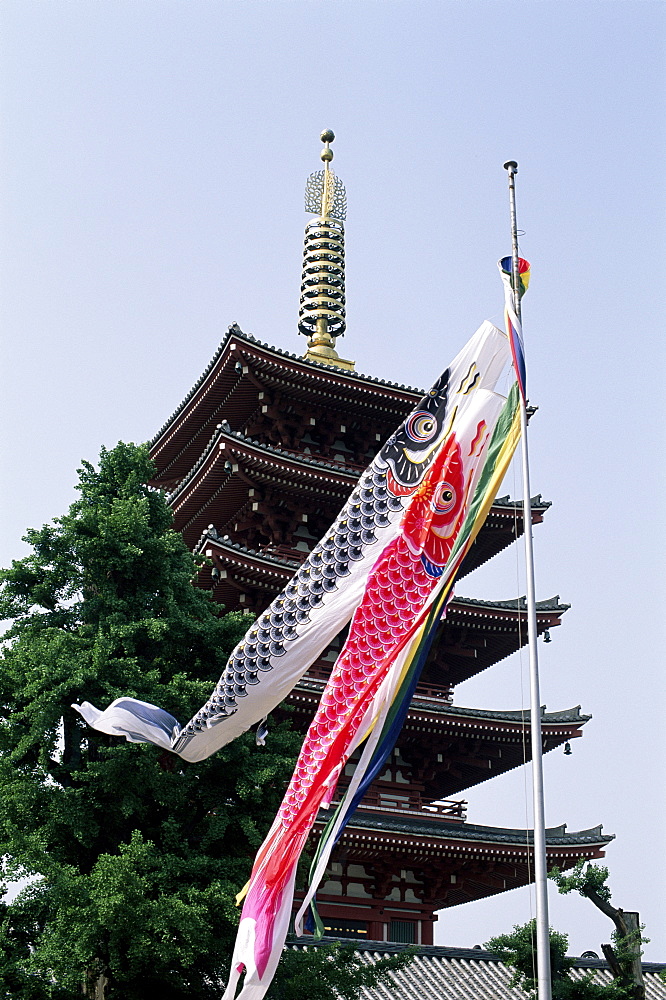 Carp streamers on Boy's Day celebrated on 5th May at Asakusa Kannon Temple, Tokyo, Japan, Asia