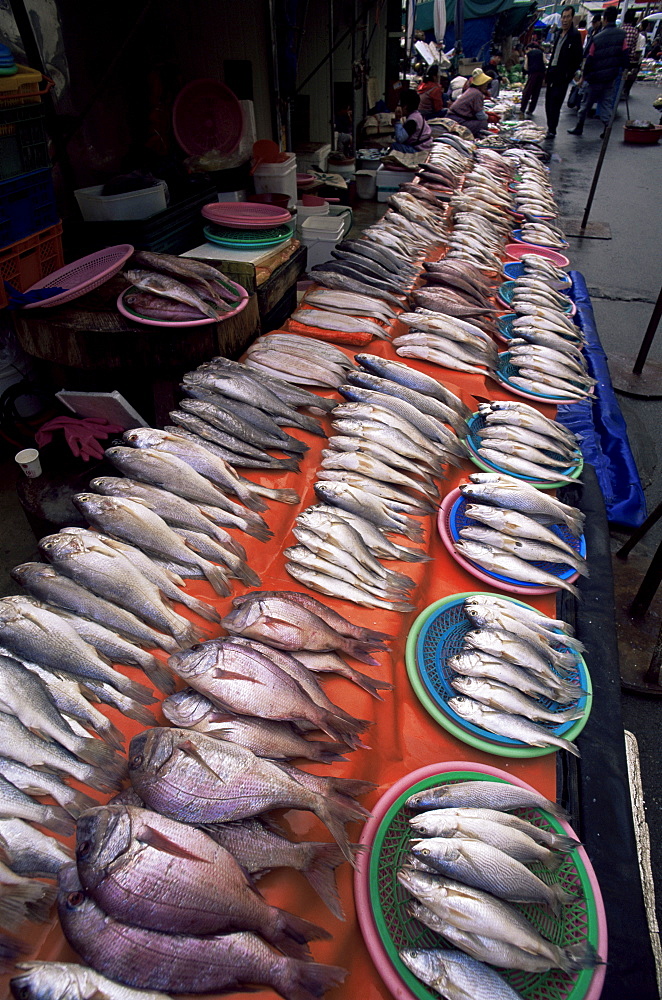 Fresh fish display, Jagalchi Market, Busan, South Korea, Asia