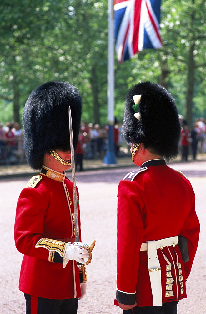 Trooping The Colour, London, England, United Kingdom, Europe