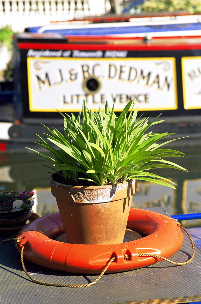 Garden display on canal boat, Little Venice, London, England, United Kingdom, Europe