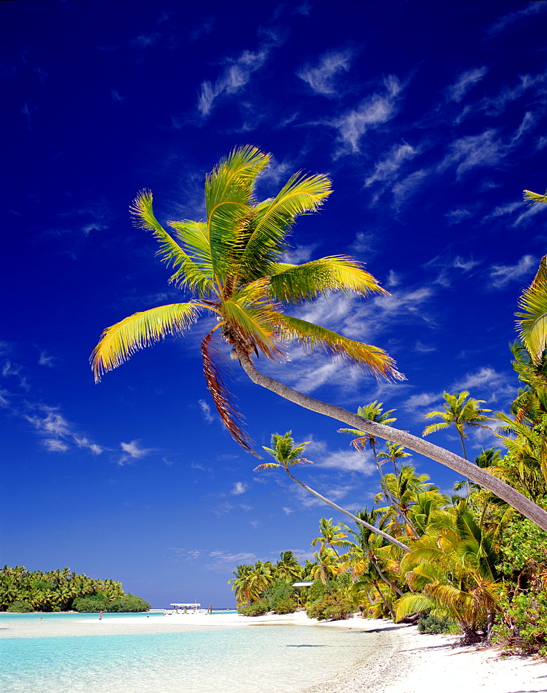 Atoll, palm trees and tropical beach, Aitutaki Island, Cook Islands, Polynesia, South Pacific, Pacific