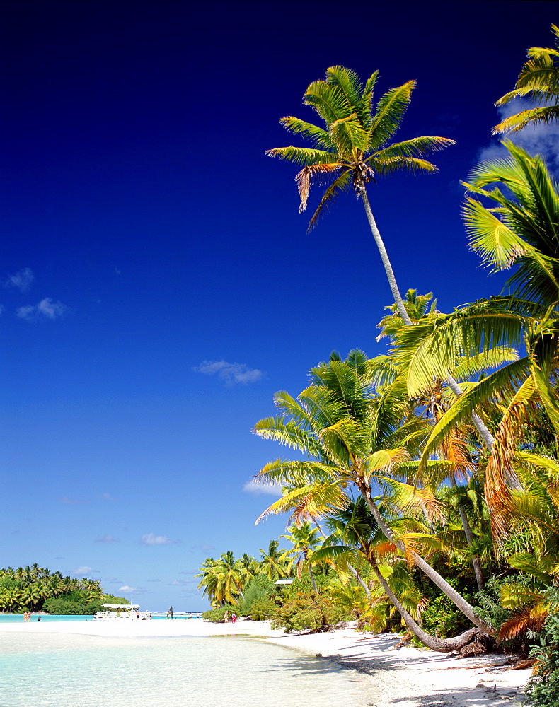 Atoll, palm trees and tropical beach, Aitutaki Island, Cook Islands, Polynesia, South Pacific, Pacific