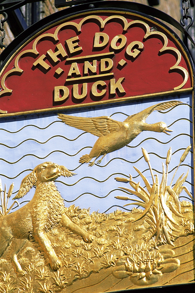 The Dog and Duck pub sign, London, England, United Kingdom, Europe