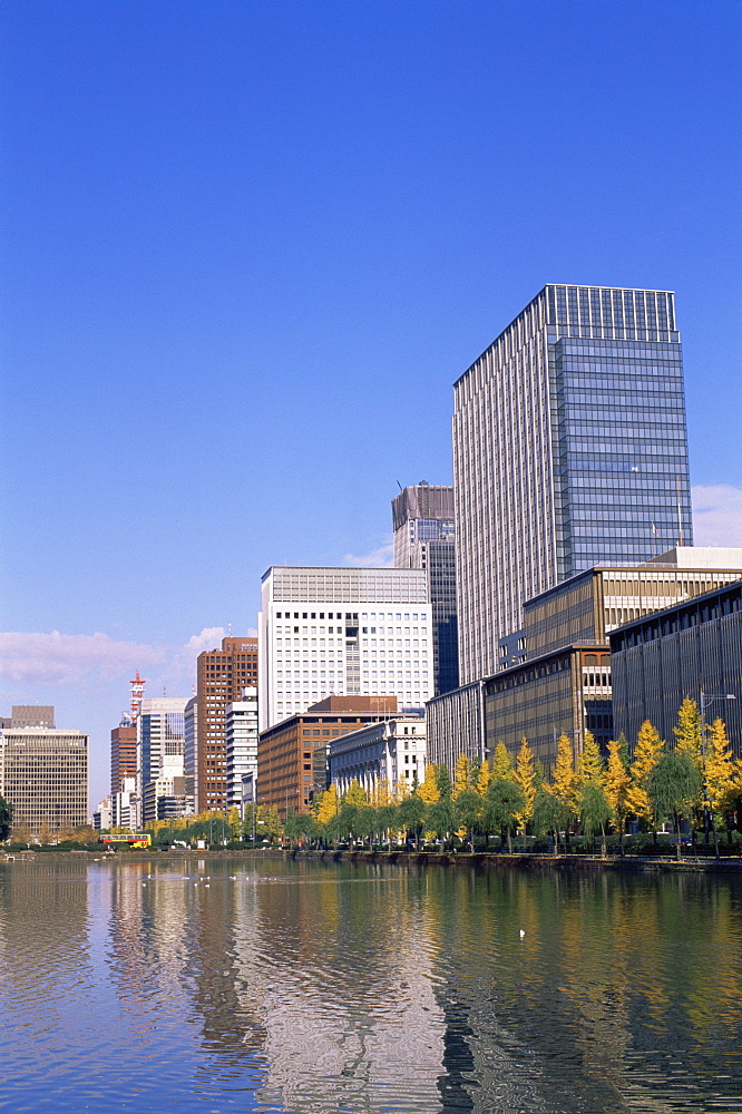 Marunouchi and Otemachi Business Area skyline with autumn leaves, Tokyo, Japan, Asia