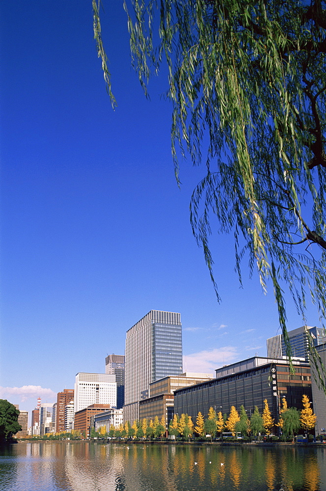 Marunouchi and Otemachi Business Area skyline with autumn leaves, Tokyo, Japan, Asia