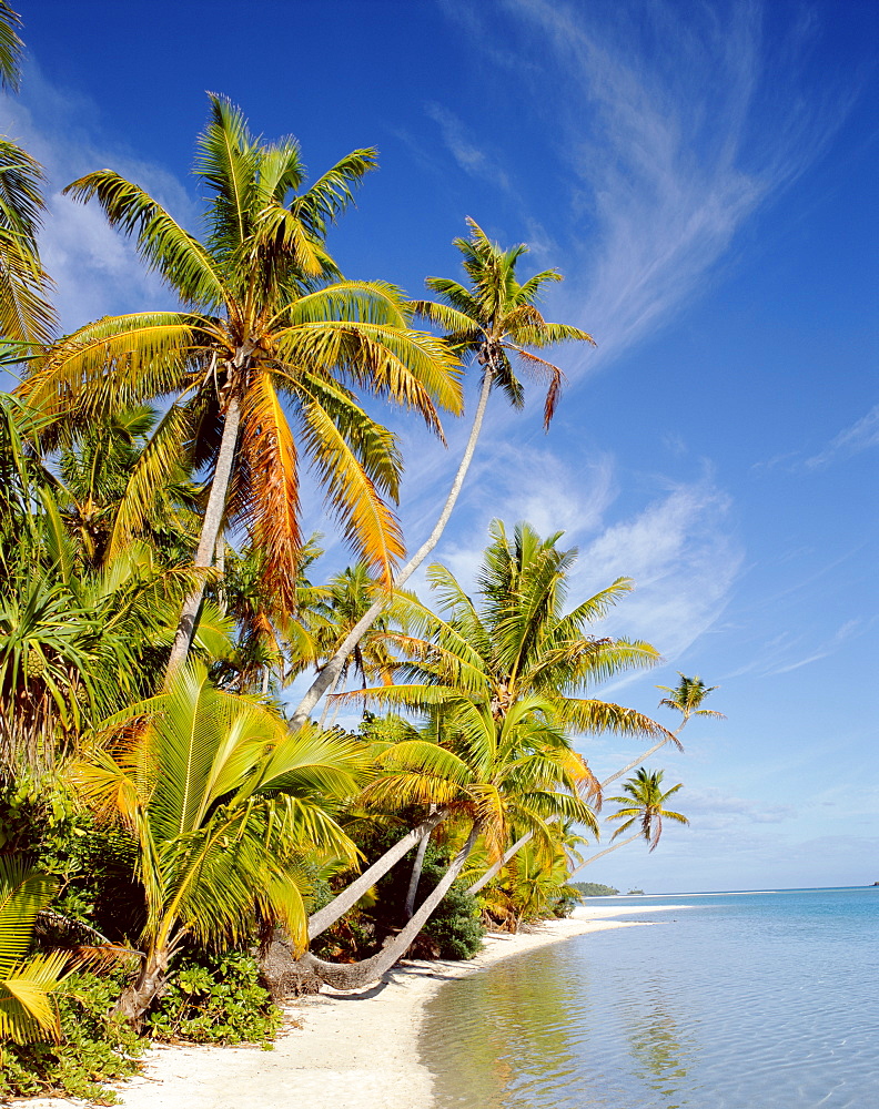 Atoll, palm trees and tropical beach, Aitutaki Island, Cook Islands, Polynesia, South Pacific, Pacific