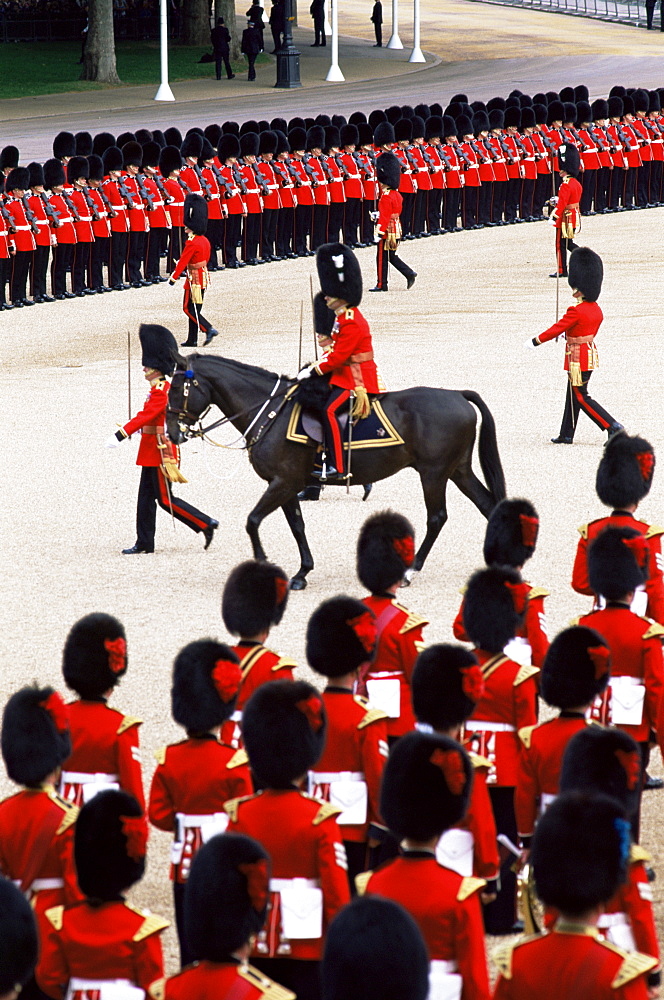 Trooping of the Colour Ceremony at Horse Guards Parade Whitehall, London, England, United Kingdom, Europe