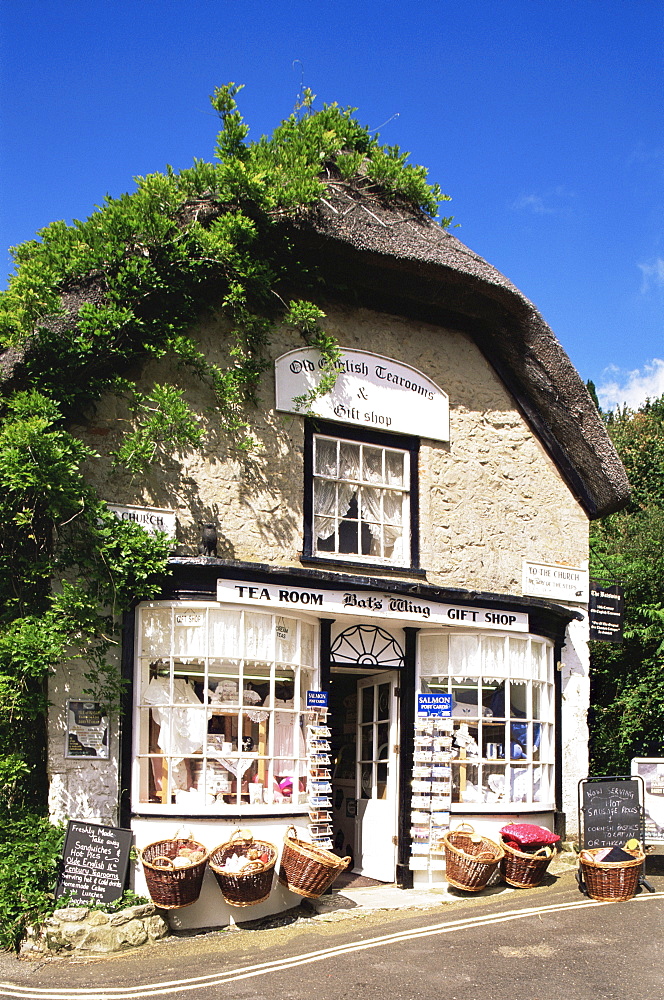 Tea Room and souvenir shop, Godshill Village, Isle of Wight, England, United Kingdom, Europe