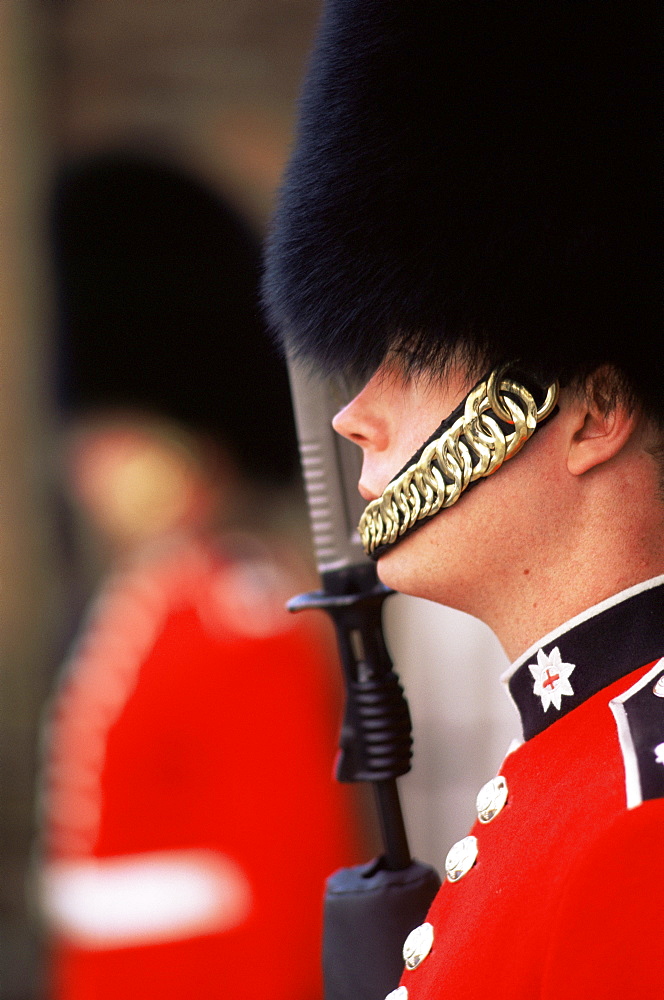 Guard at St. James's Palace, London, England, United Kingdom, Europe