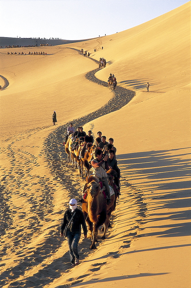 Tourists riding camels at Mount Mingshan, Dunhuang, Gansu Province, China, Asia