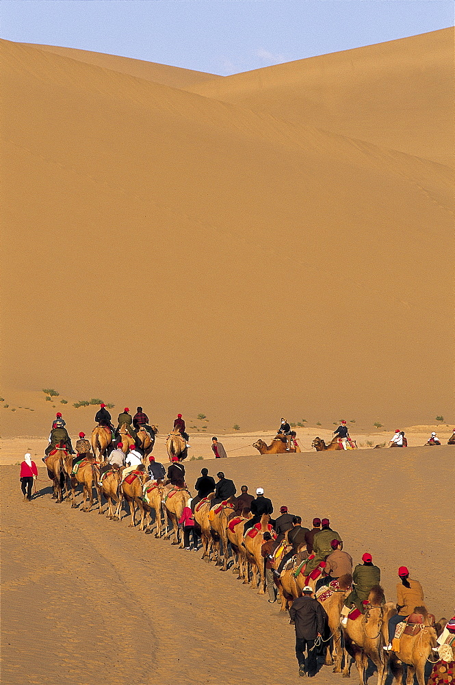 Tourists riding camels at Mount Mingshan, Dunhuang, Gansu Province, China, Asia