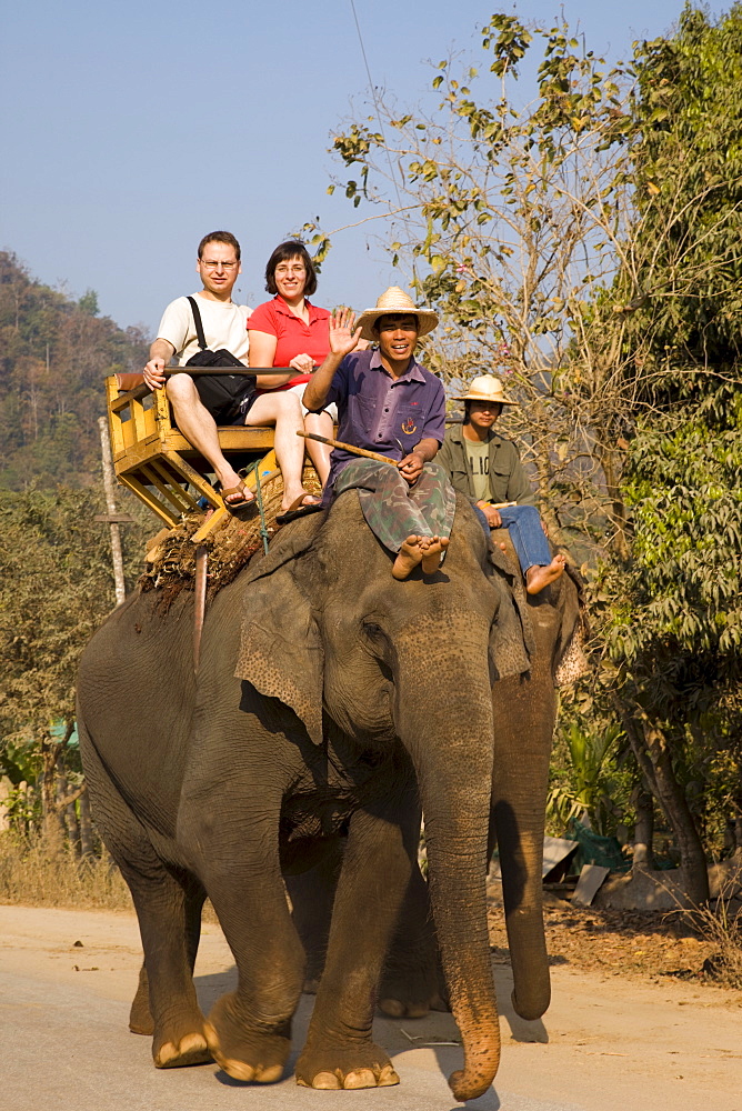 Tourist elephant trekking, Elephant Camp, Chiang Mai, Thailand, Southeast Asia, Asia