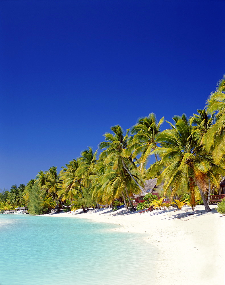 Atoll, palm trees and tropical beach, Aitutaki Island, Cook Islands, Polynesia, South Pacific, Pacific