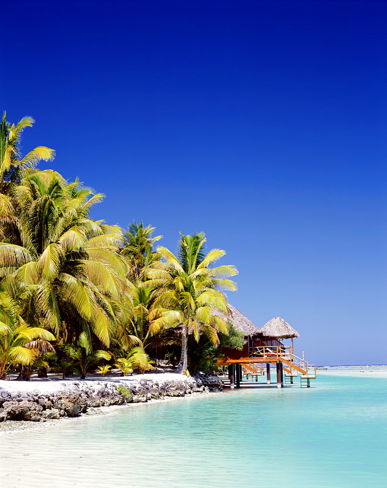 Atoll, palm trees and tropical beach, Aitutaki Island, Cook Islands, Polynesia, South Pacific, Pacific