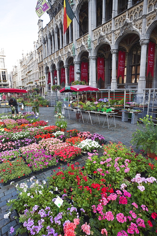 Flower market, Grand Place, UNESCO World Heritage Site, Brussels, Belgium, Europe