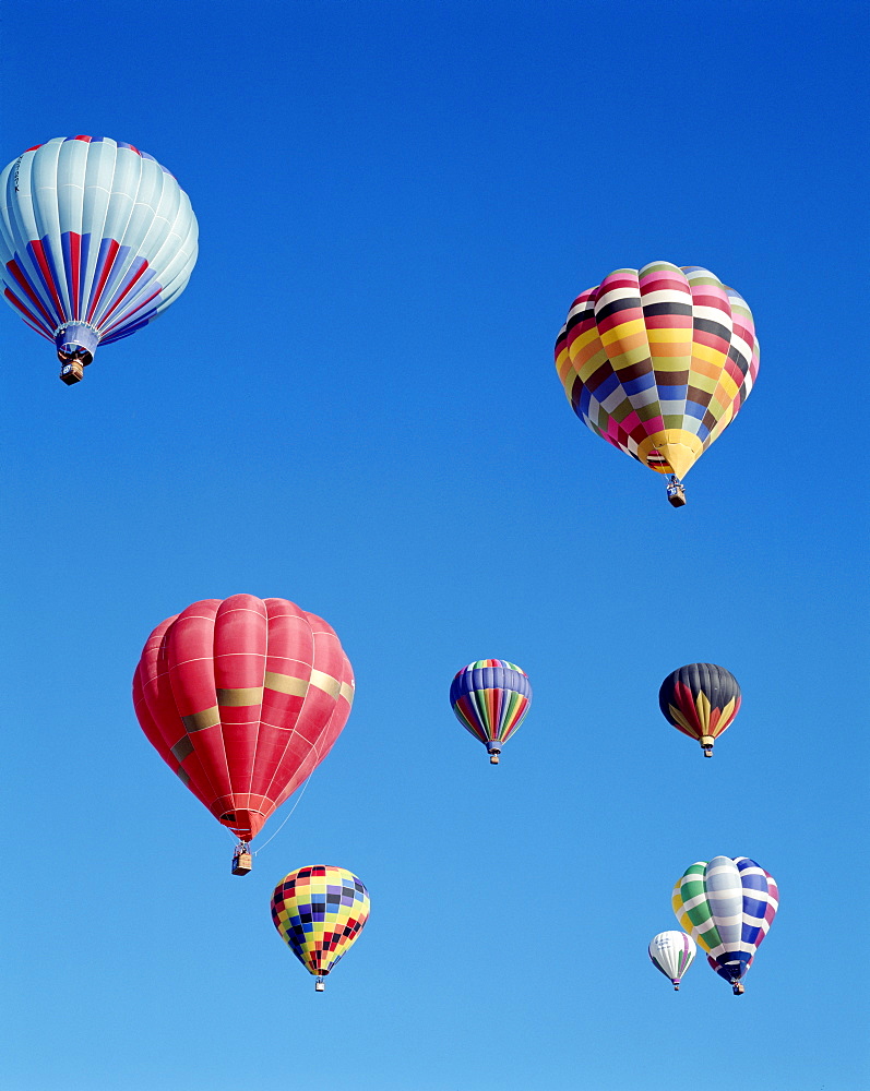 Colourful hot air balloons in blue sky, Albuquerque, New Mexico, United States of America, North America