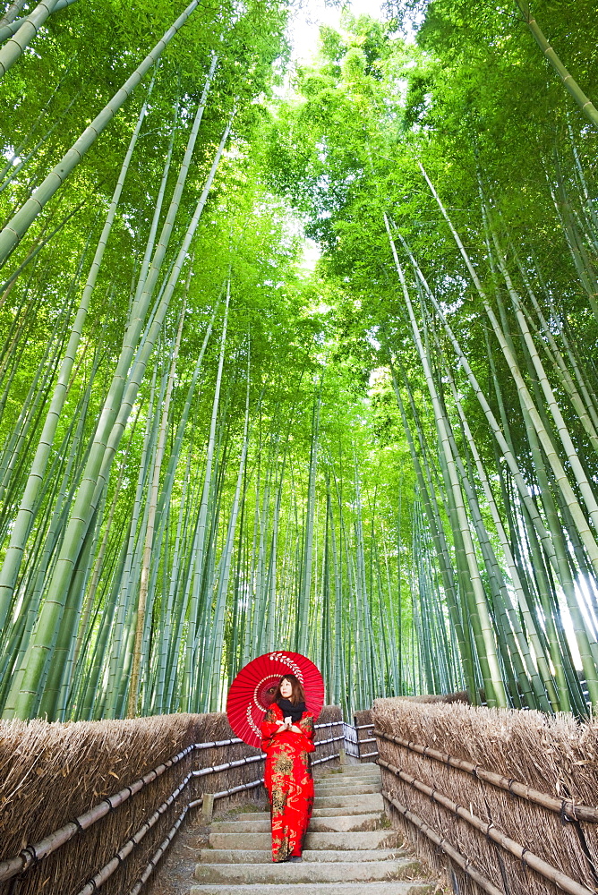 Bamboo forest, Adashino Nembutsu-ji Temple, Arashiyama, Kyoto, Japan, Asia