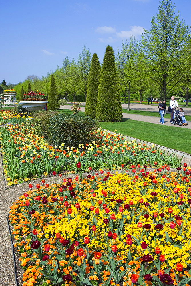 Flower display, Avenue Gardens, Regents Park, London, England, United Kingdom, Europe