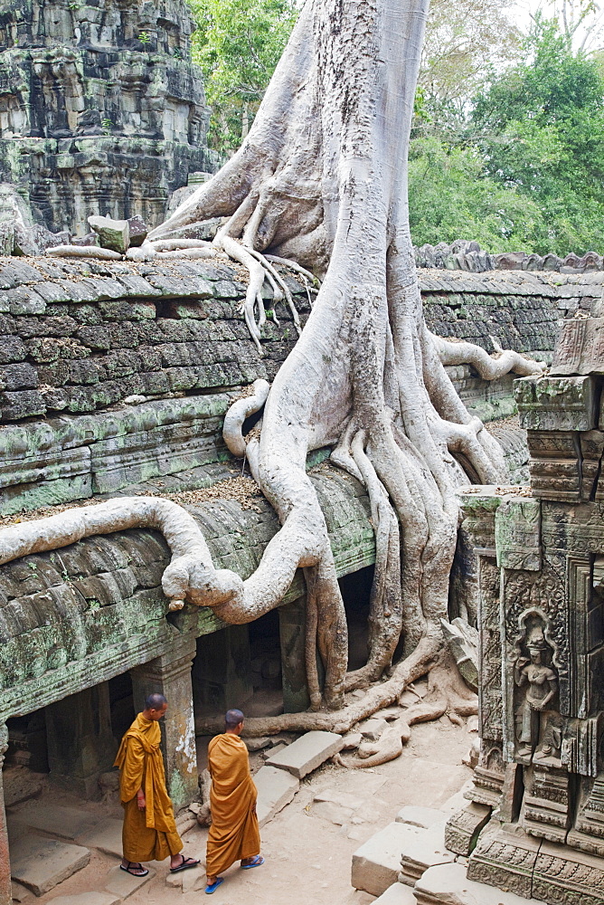 Ta Prohm Temple, Angkor, UNESCO World Heritage Site, Siem Reap, Cambodia, Indochina, Southeast Asia, Asia