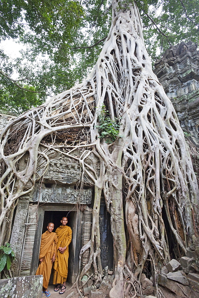 Ta Prohm Temple, Angkor, UNESCO World Heritage Site, Siem Reap, Cambodia, Indochina, Southeast Asia, Asia