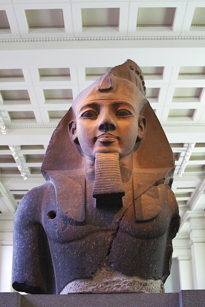 Head of Ramesses II from Thebes dating from 1270 BC, British Museum, Bloomsbury, London, England, United Kingdom, Europe