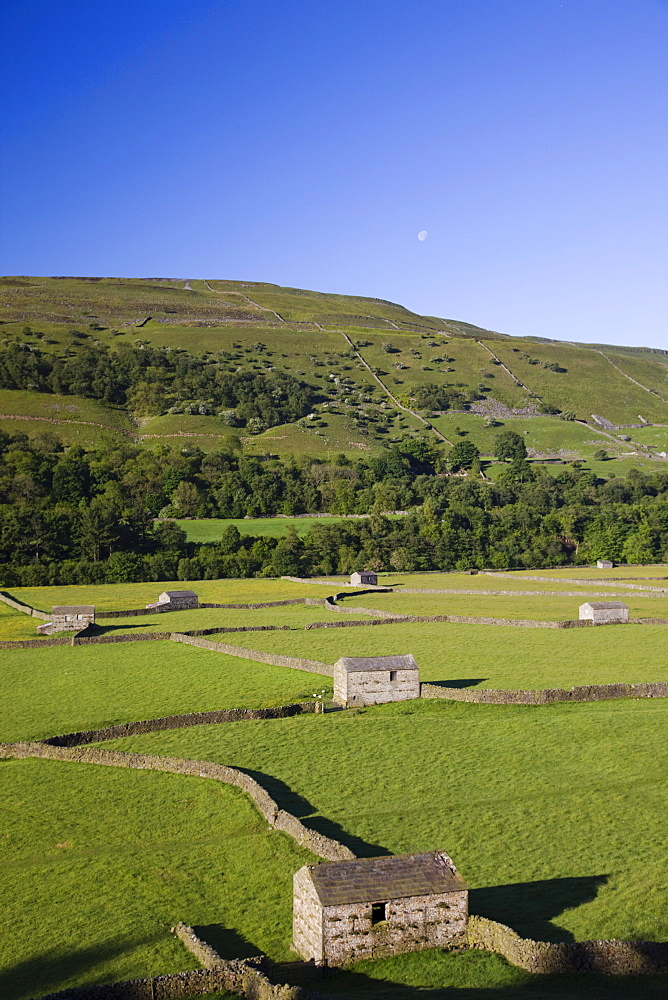 Swaledale, Yorkshire Dales National Park, Yorkshire, England, United Kingdom, Europe