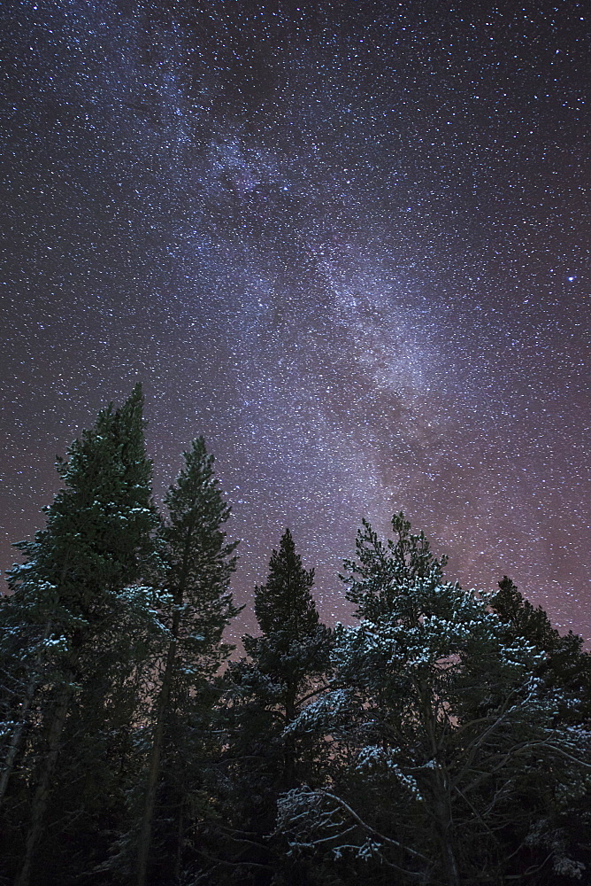 The Milky Way rising over a forest near Kiruna in Sweden, Scandinavia, Europe