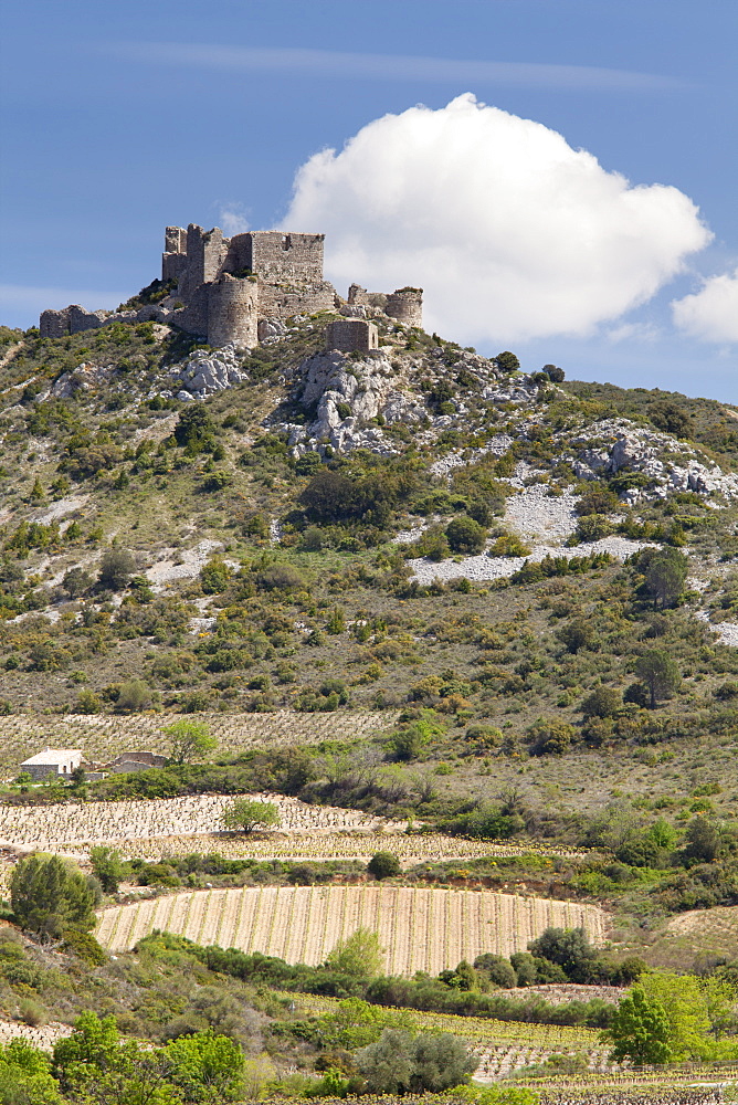 The Cathar castle of Aguilar in Languedoc-Roussillon, France, Europe